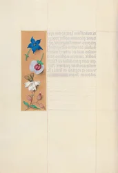 Getijdenboek van koningin Isabella de Katholieke, koningin van Spanje: Fol. 71v, ca. 1500