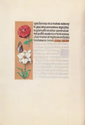 Uren van Koningin Isabella de Katholieke, Koningin van Spanje:  Fol. 76v