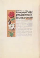 Getijdenboek van Koningin Isabella de Katholieke, Koningin van Spanje: Fol. 76v, ca. 1500