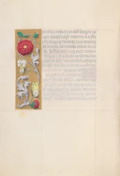Getijdenboek van Koningin Isabella de Katholieke, Koningin van Spanje: Fol. 86v, ca. 1500