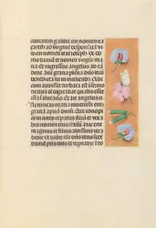 Getijdenboek van Koningin Isabella de Katholieke, Koningin van Spanje: Fol. 94r, ca. 1500