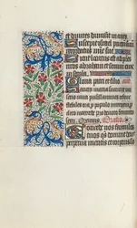 Getijdenboek Gebruik van Rouen: fol. 74v, ca. 1470
