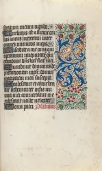 Getijdenboek Gebruik van Rouen: fol. 81r
