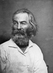 Walt Whitman 1819-1892, Amerikaanse dichter, c. 1880s