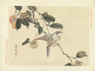 Vogel en kaki