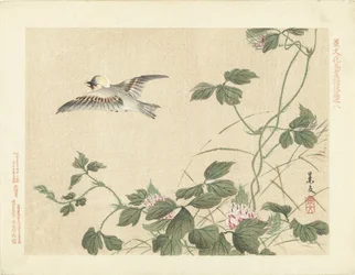 Wegvliegende vogel bij klimplant met roze bloemen