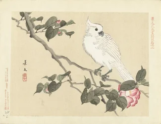 Witte kaketoe op cameliatak; Bloemen- en vogelschetsen van Keibun - deel drie (serietitel); Keibun kachō gafu kōhen (serietitel op object)