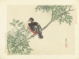 Zwart-rode vogel - Bloemen- en vogelschetsen van Keibun, deel één (serietitel) - Keibun kacho gafu zenpen (serietitel op object)