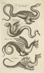 Plaat XII, mythische wezens, draken, illustratie uit 