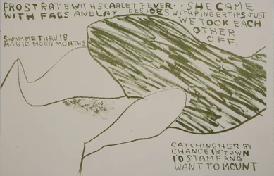 ze kwam met peuken, 2009 (litho)
