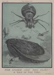 De Spin en de Vliegen!