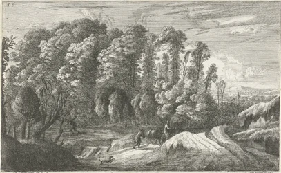 De kleine wagen