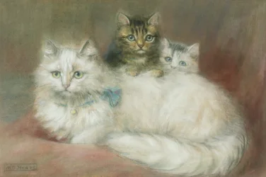 Een Perzische Kat en haar Kittens
