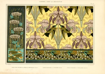 Art Nouveau dessins met libellen, orchideeën en kolibries (litho)