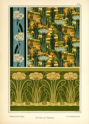 De schermbloemige riet