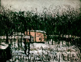 De Butte Pinson in de sneeuw