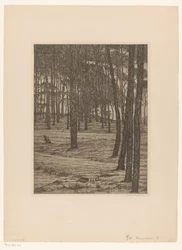 Dennenbosch I