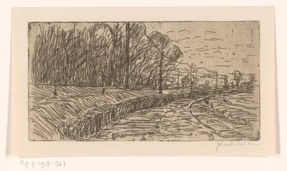 Landschap met weg, bosrand en elektriciteitspalen