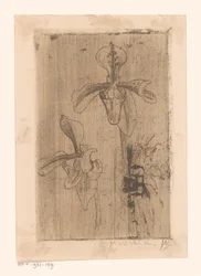 Twee orchideeën en een kar op het strand