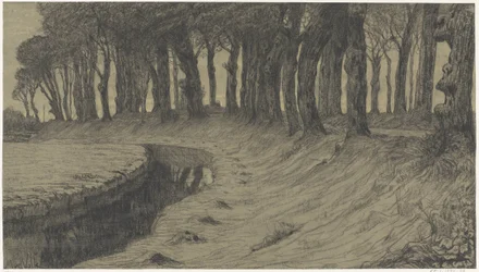 Bomen langs een weg over een dijk of wal