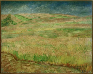 Bloeiende graanvelden