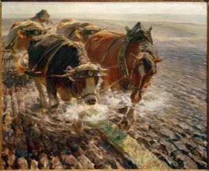 Stoomende scholle