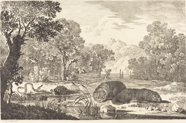 Rivierlandschap met twee bevers