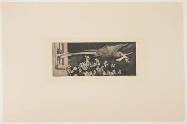 Ontvoering, 1881