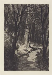 In het Bos, 1883