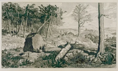 Landschap met bomen