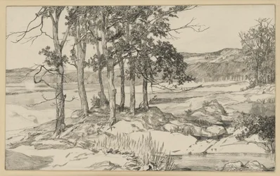 Landschap met een dennenbos en een vijver