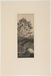 Verlangens