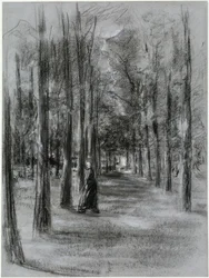 Allee in Laren