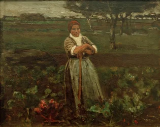 Arbeidster in het bietenveld