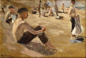 Zwemmende Jongens (olieverf op board)