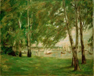 Berken aan de oever van de Wannsee naar het oosten