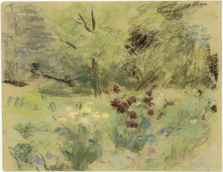 Bloemen en bomen