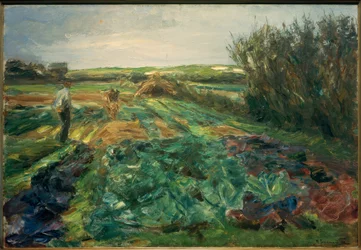 Het Koolveld (Koolveld in Noordwijk)