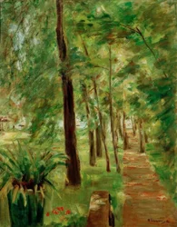 De berkenlaan in de Wannsee-tuin naar het oosten
