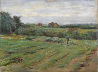 Oogstveld