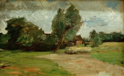 Hollandse landschap