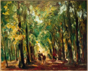Ruiter in het Dierenpark