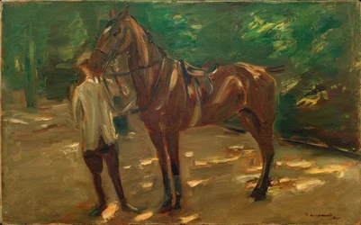 Stalknecht met paard