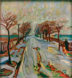 Maartensneeuw I