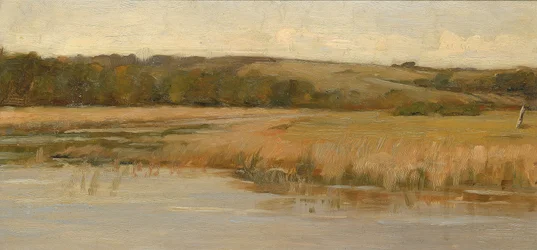 Heuvel en moeras
