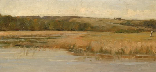 Heuvel en moerasland, eind 19e-begin 20e eeuw