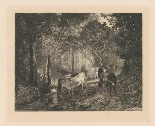 Koeien in het bos
