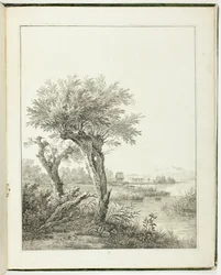 Boomstudies voor beginnende landschapsschilders