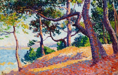 Landschap in Saint-Tropez