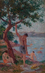 Saint-Tropez, baders onder de pijnbomen